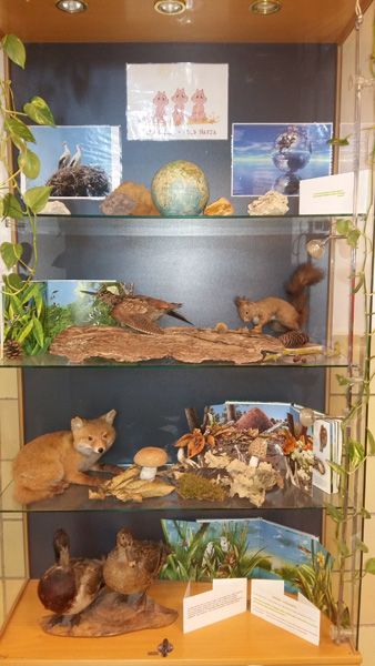 2018-04-20_11.15.27.jpg 2018-04-20_11.15.27.jpg