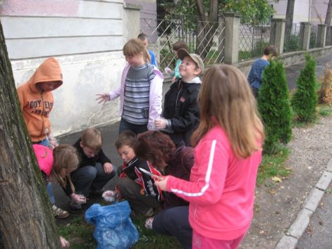 img_0151.jpg img_0151.jpg